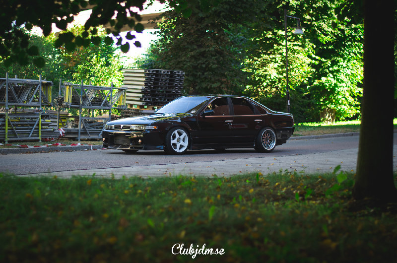 DSC_5826.jpg