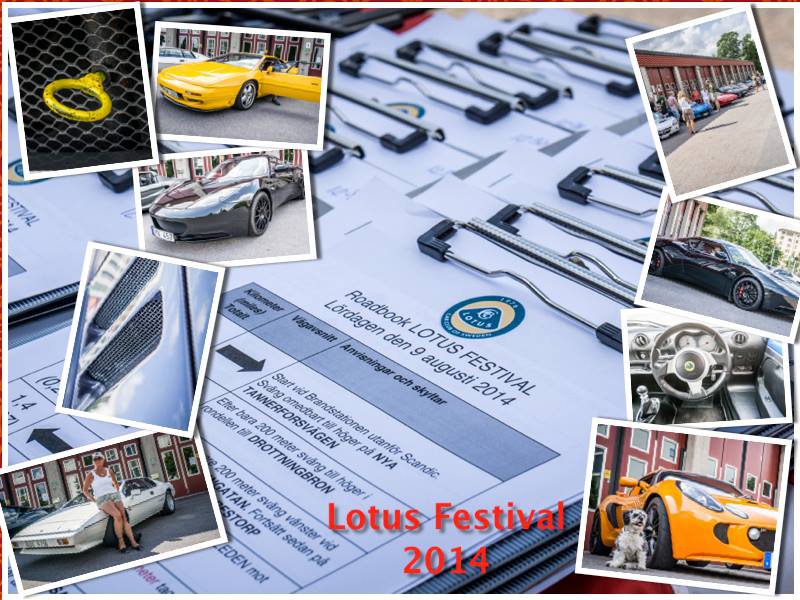 LotusFestival2014.jpg