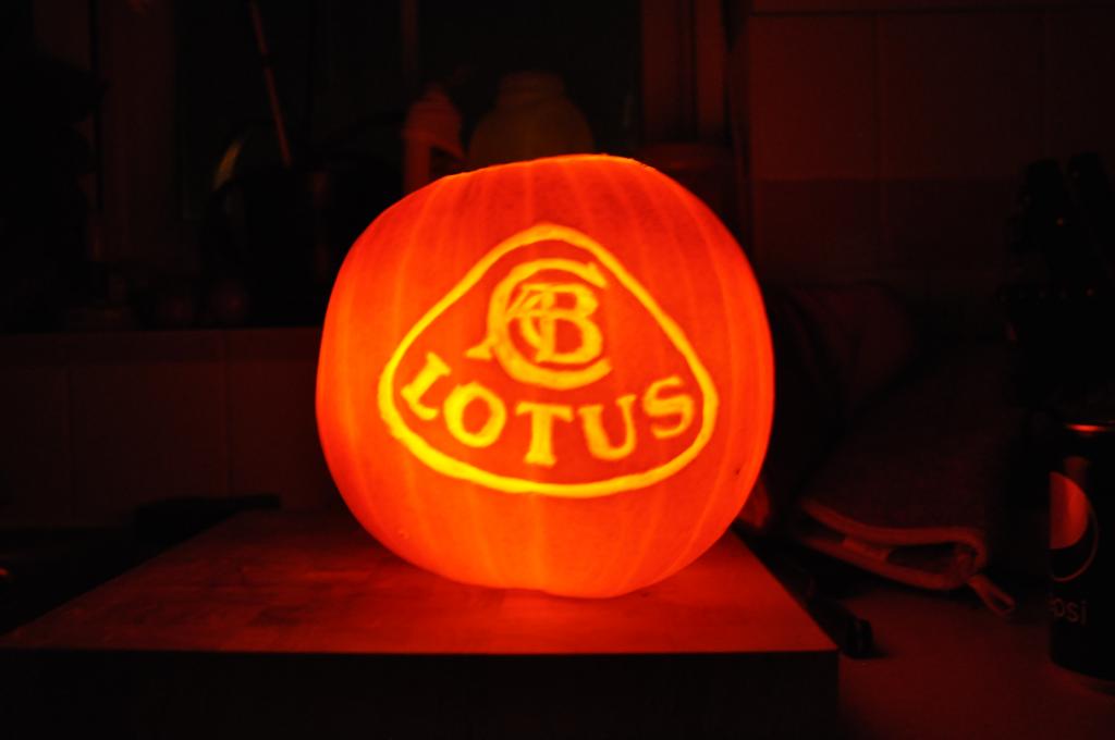 Lotus pumpa.jpg