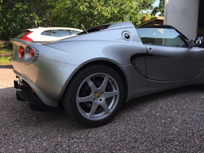 lotus6.jpg