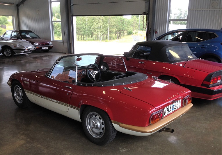 IMG_9582 - kopia.jpg