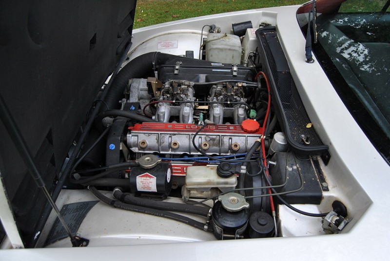 B3.jpg