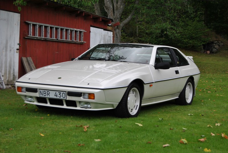 Lotus Excel 1.JPG