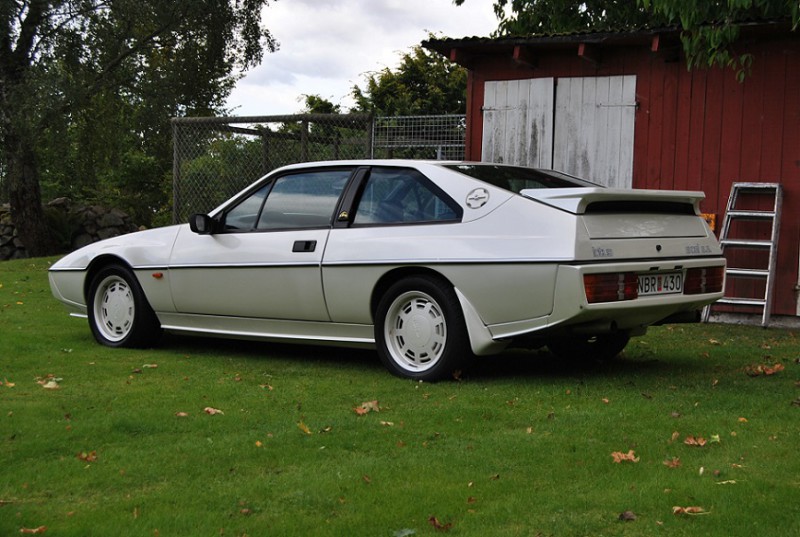 Lotus Excel 2.JPG