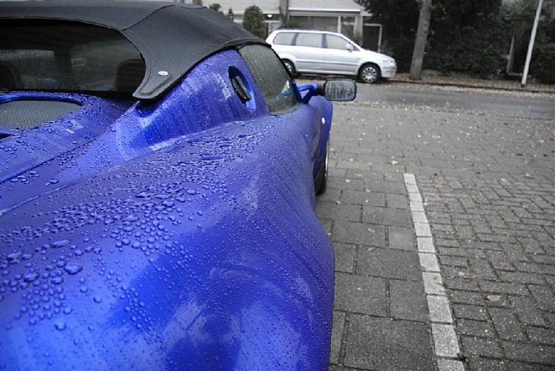 elise 2007-10-09 (22)_bluegrey (Large).JPG