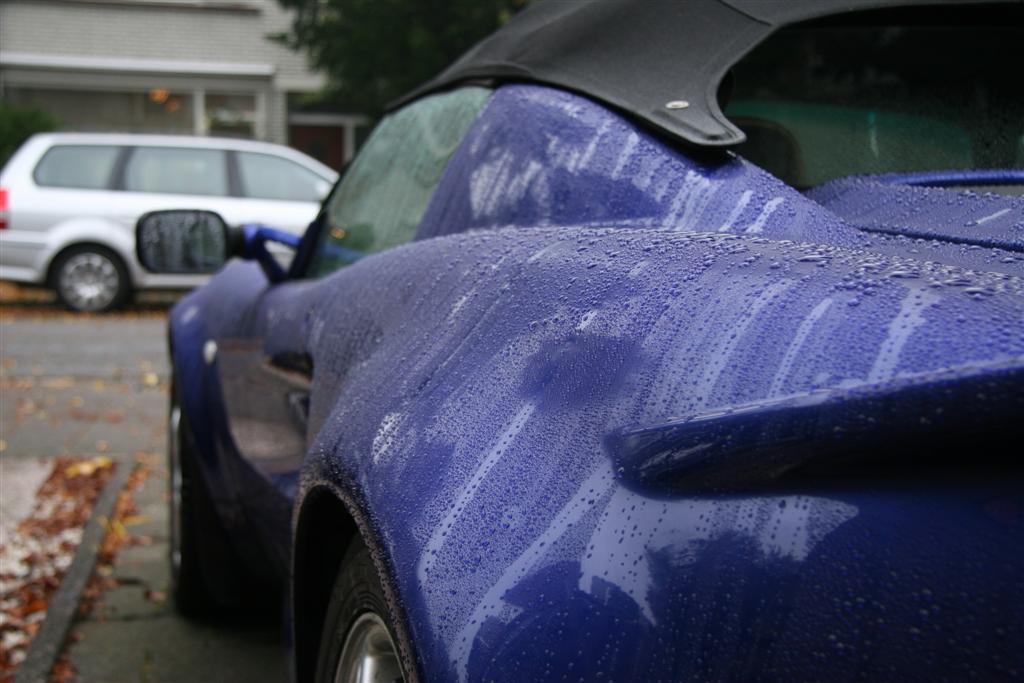 elise 2007-10-09 (18) (Large).JPG