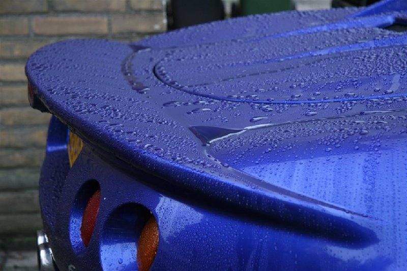 elise 2007-10-09 (27) (Large).JPG