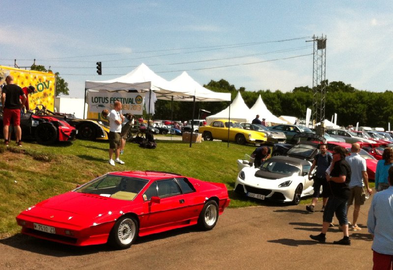 Gamla och nya Lotus i en skön blandning.JPG