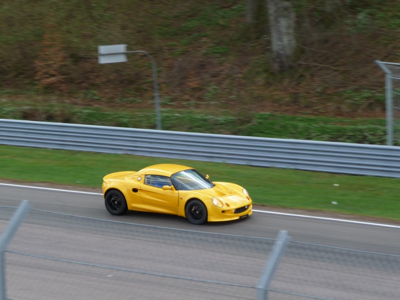 Actionbild på Miss Sophie