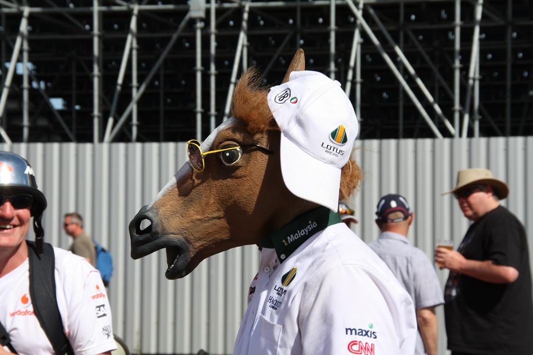 Lotus supporter.jpg