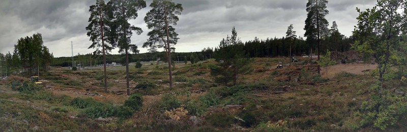 GTR motorpark röjning.jpg