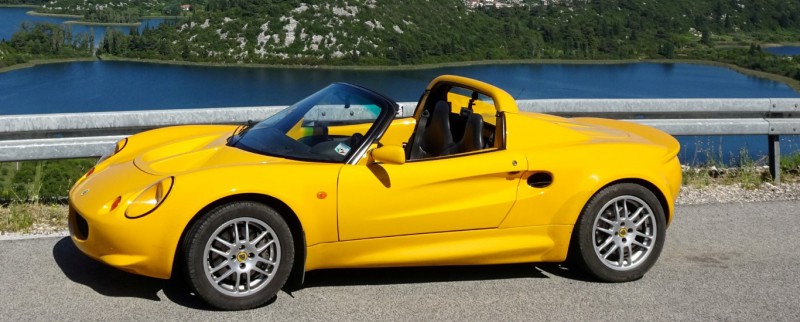 grelise (Large) (Medium).jpg