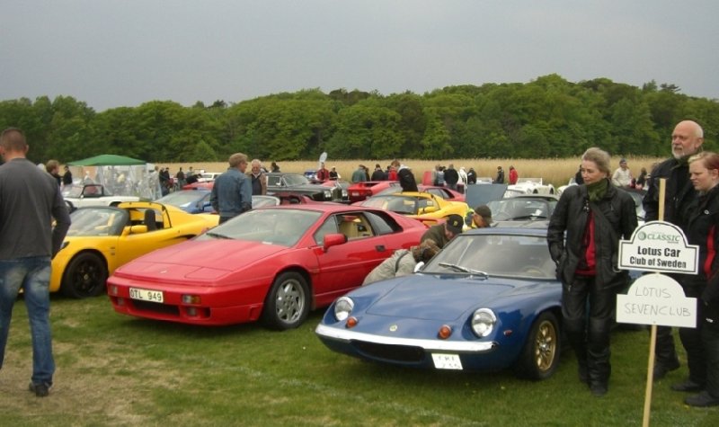 En fin blandnig av gamla och nyare Lotusar.JPG